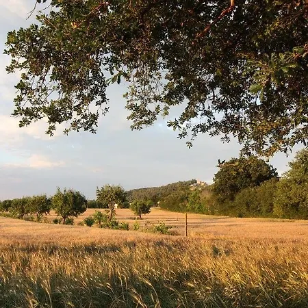 Bed & Breakfast Il Casale Di Nonno Guido