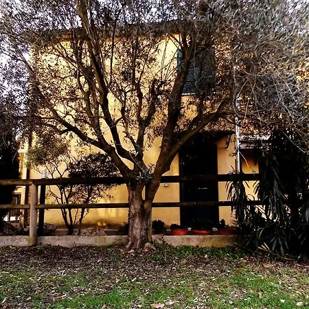 Il Casale Di Nonno Guido 3* 몬테라도