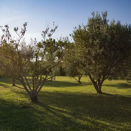 Bed & Breakfast Il Casale Di Nonno Guido Monterado