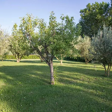 Il Casale Di Nonno Guido 3* Monterado