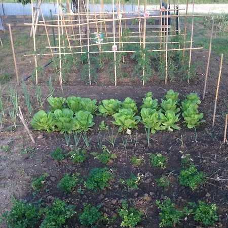 Oda ve Kahvaltı Il Casale Di Nonno Guido Monterado