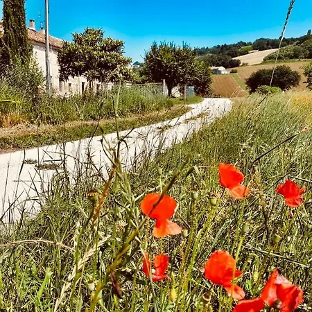 Bed & Breakfast Il Casale Di Nonno Guido 3*