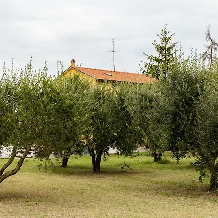 Il Casale Di Nonno Guido Frühstückspension Monterado