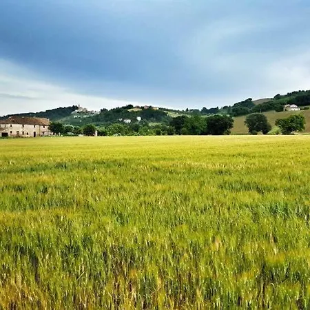 Il Casale Di Nonno Guido B&B 3*